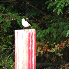 croisiere-23-09-16 (162)